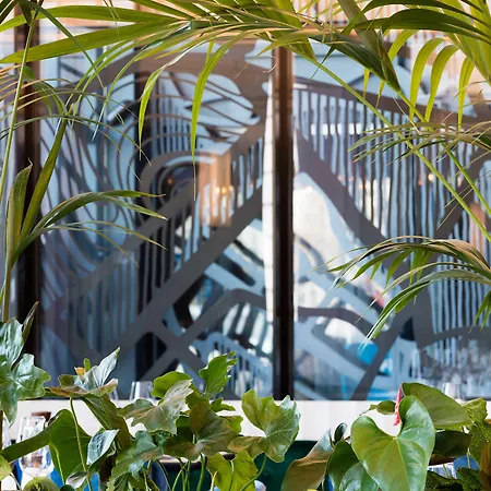 Clark - Adults Only 5*