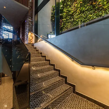 Clark - Adults Only 5*