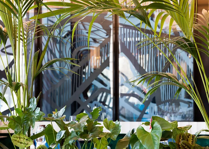 Clark - Adults Only 5*